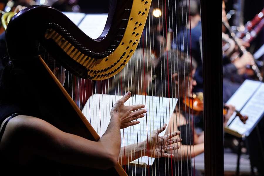 Beginner and professional musicians have until next Sunday, September 1st, to sign up for FEMUSC 2025